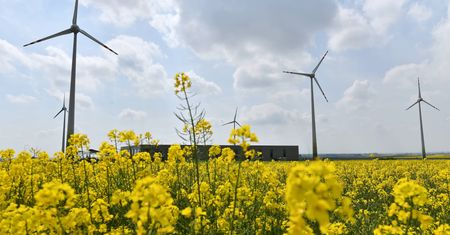 IBRiS: Polacy nie mają wątpliwości. Zmianom klimatu winny jest człowiek
