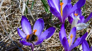 Takiej prognozy pogody nie było naprawdę dawno