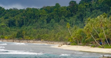 Indonezja. Mieszkańcy wyspy Biak nie chcą u siebie Elona Muska