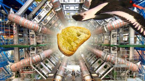 Precyzyjny ptasi atak unieszkodliwił Wielki Zderzacz Hadronów na kilka kolejnych dni 1