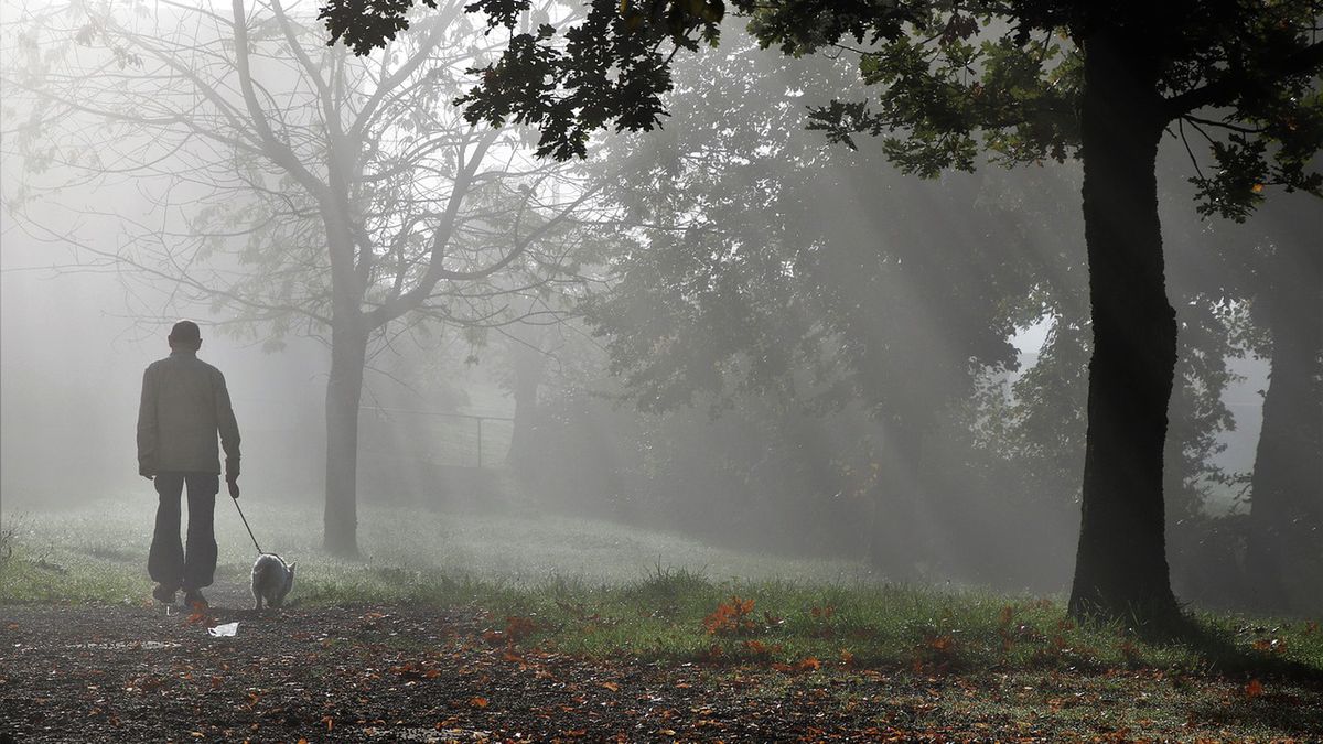 Pogoda na najbliższe dni