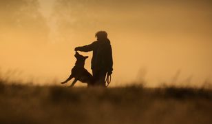 Pogoda. Deszcz i krupa śnieżna. To koniec złotej jesieni