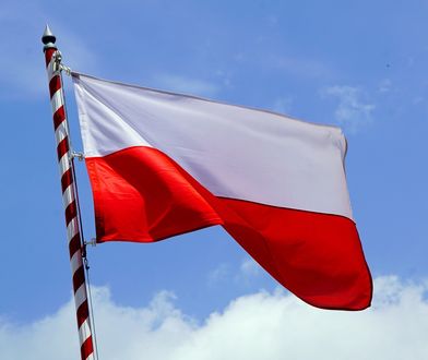 Wybory samorządowe 2024 Ostrów Wielkopolski. Lista kandydatów na prezydenta miasta