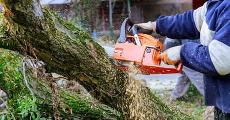 W weekend pogoda będzie już jesienna, dość deszczowa i wietrzna. Wichura może łamać drzewa i zrywać dachy!