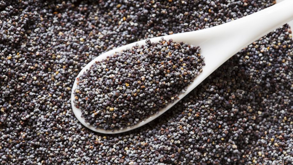 Poppy seeds in a ceramic spoonpoppy, seed, spice, condiment, grain, spoon, ceramic, equipment, kitchen, ingredients, vegetarian, organic, blue, calcium, cosmetic, dried, farming, food, black, backgrounds, textures, grey, heap, ingredient, lot, medicine, multitude, oil, opiate, opium, agriculture, product, rusted, vitamin