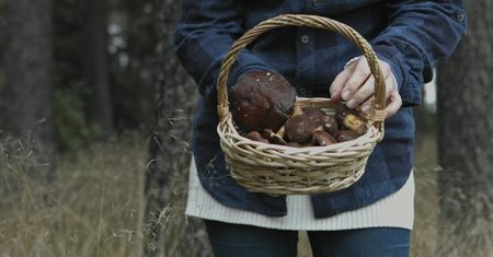 Są bardzo podobne do jadalnych grzybów, ale mogą cię zabić. Nawet ich nie dotykaj