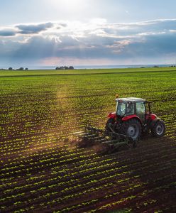 Dopłaty bezpośrednie 2025: rozpoczął się nabór wniosków. O czym należy pamiętać?