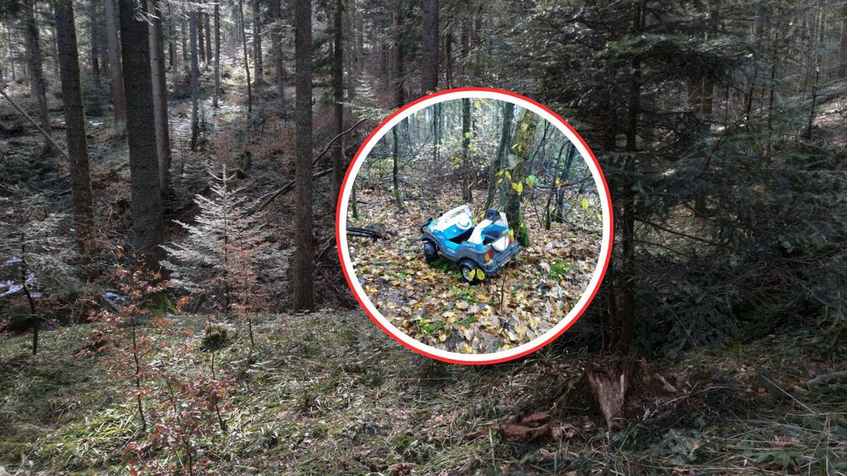 Leśnicy z Lidzbarka zaskoczeni znaleziskiem