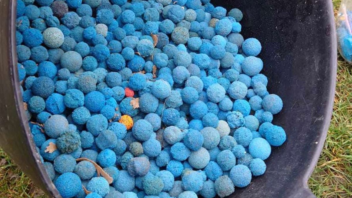 Niebieskie kuleczki zaczęły się pojawiać na angielskich plażach 