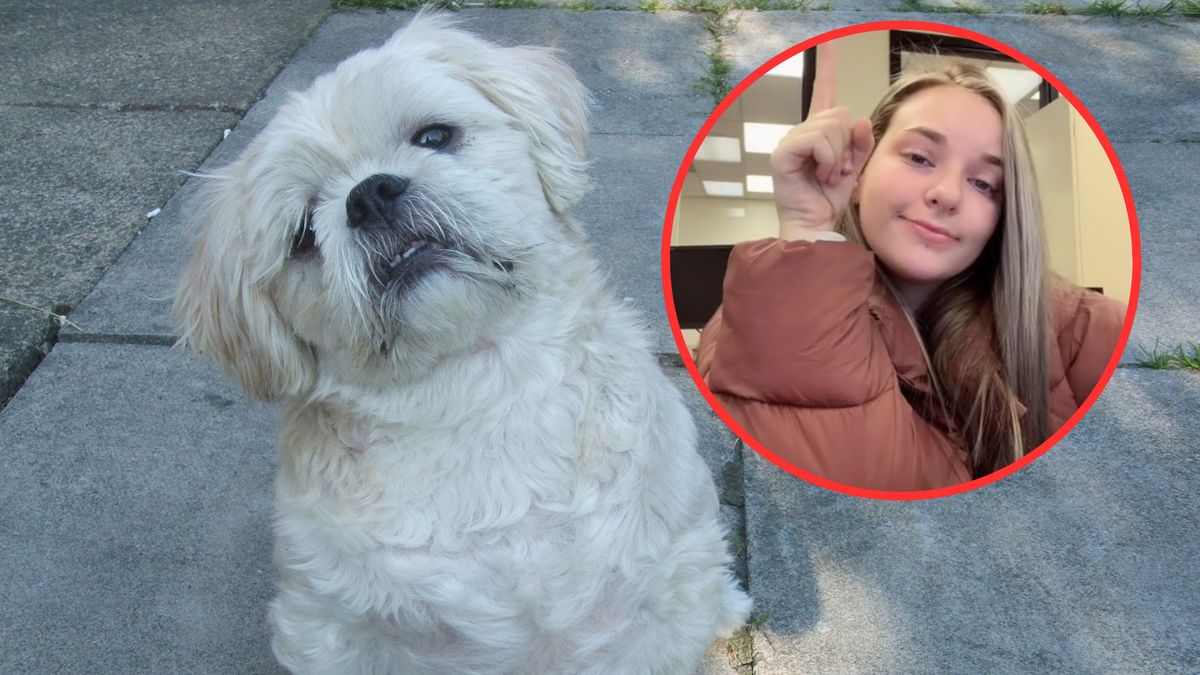 20-latka wymieniła 8 ras psów, których by nie chciała mieć