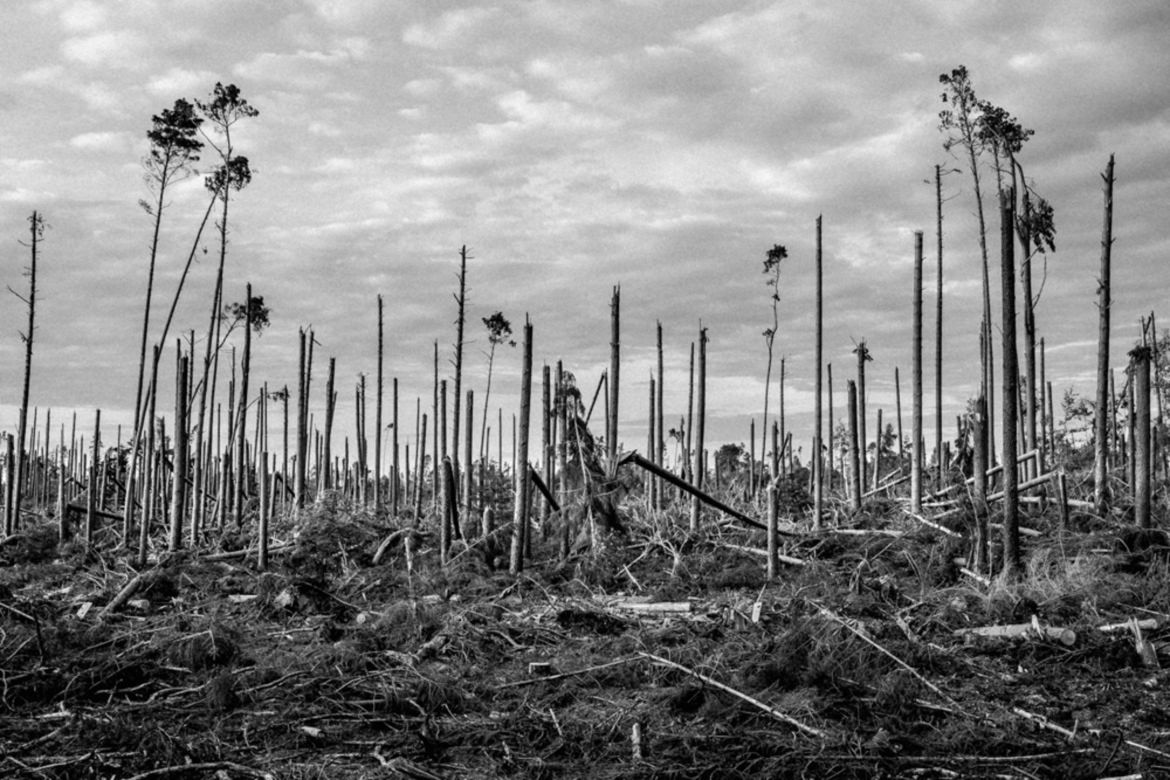 16 Polaków na podium oraz ponad 30 wyróżnionych w International Photographer of the Year 2017 8