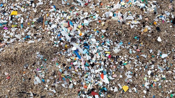 Mikroplastik staje się coraz większym problemem. 