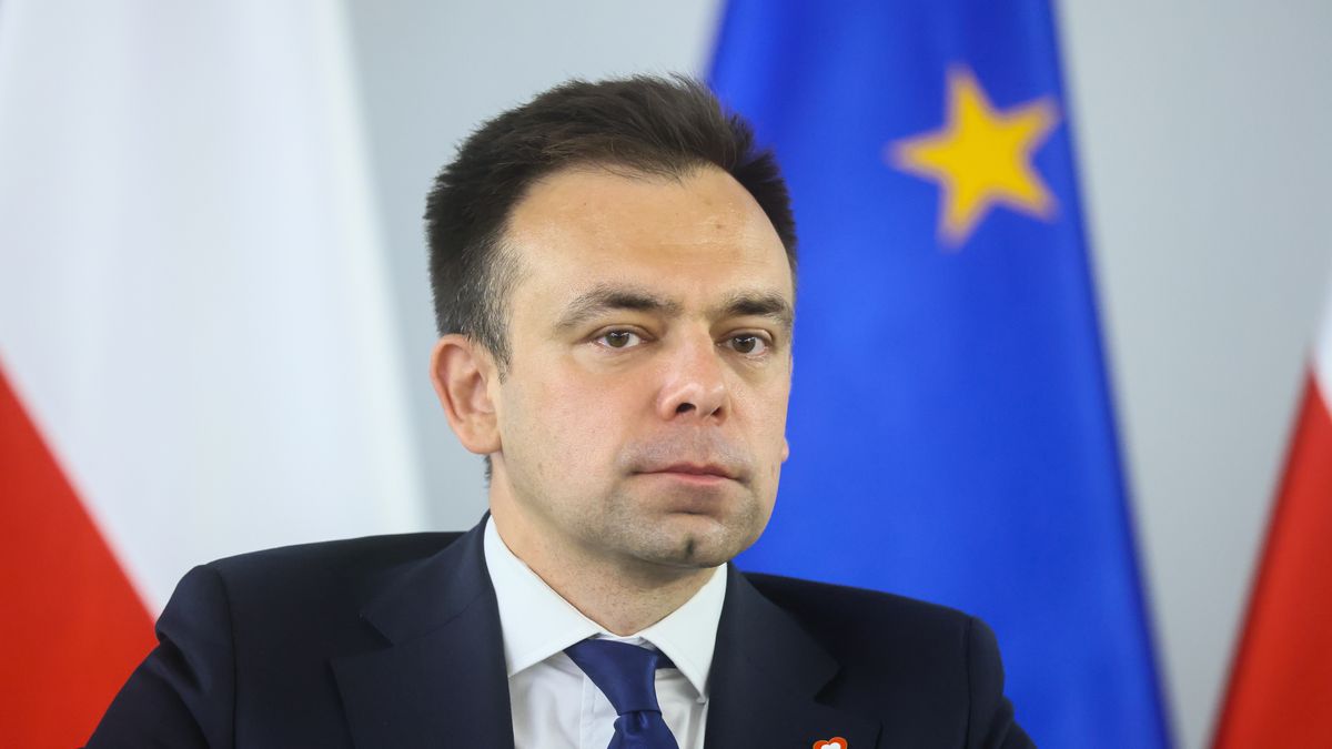 Minister finansów Andrzej Domański 