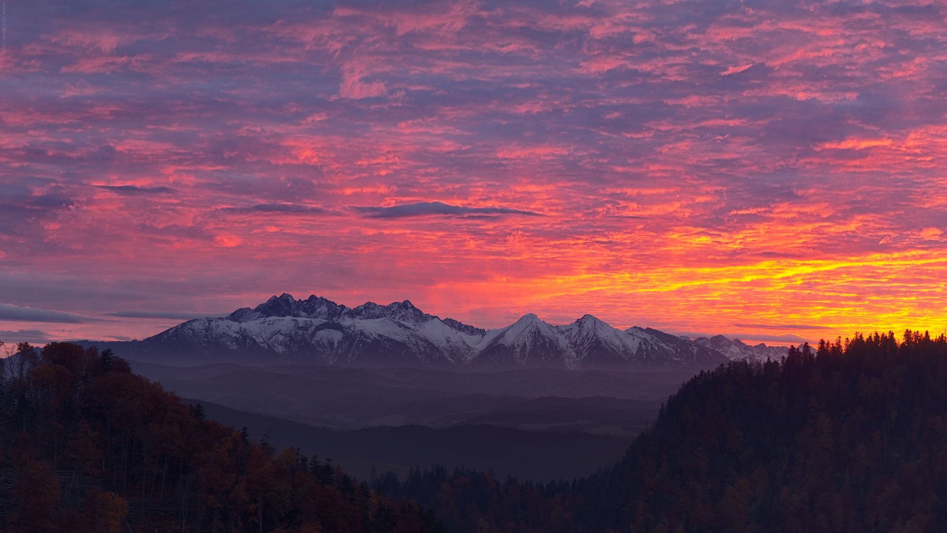 „Gdy wracam na szlak czuję jak cofam się do lat dzieciństwa” - bajkowe Tatry na fotografiach Jana Danka 8