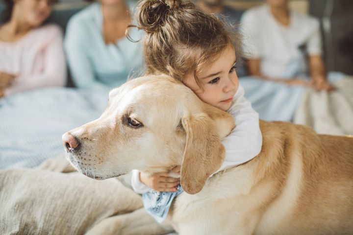 Labrador retriever to doskonały pies dla rodzin z dziećmi.