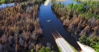 Miała być obwodnica Bolesławia a jest "Podwodnica". Zalewisko pochłania coraz większy fragment drogi. Zatopiony odcinek ma już 160 metrów!