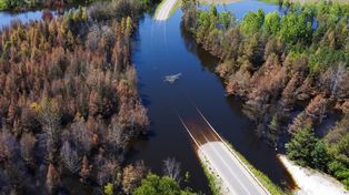 Miała być obwodnica Bolesławia a jest "Podwodnica". Zalewisko pochłania coraz większy fragment drogi. Zatopiony odcinek ma już 160 metrów!