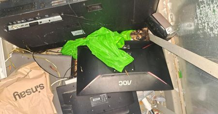 Zajrzeli do kontenera na odpady elektroniczne. Szokujące, co było w środku