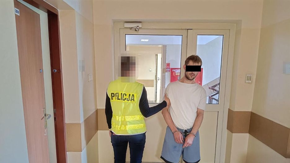 Fot. Licencjodawca