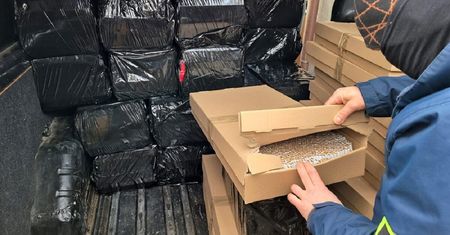 Nielegalna fabryka papierosów na prywatnej posesji. Blisko 700 tys. sztuk papierosów gotowych do sprzedaży