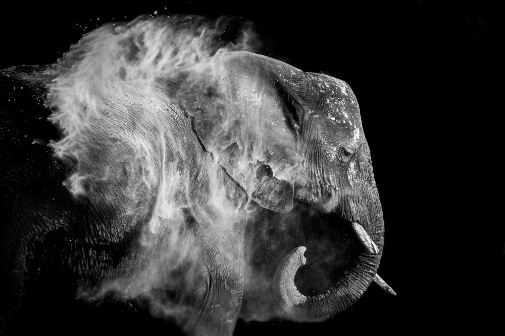 Monochrome Photography Awards 2019: wielu Polaków wśród wyróżnionych 10