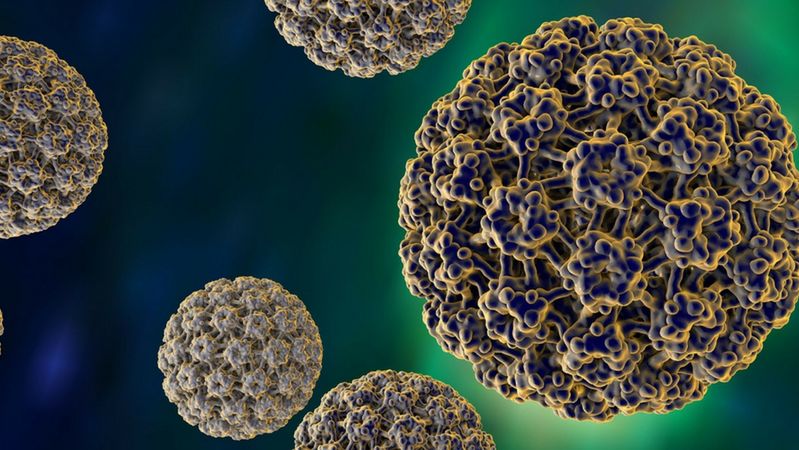 Wirus brodawczaka typu 16 jest najczęściej występującym i najgroźniejszym typem wirusa HPV