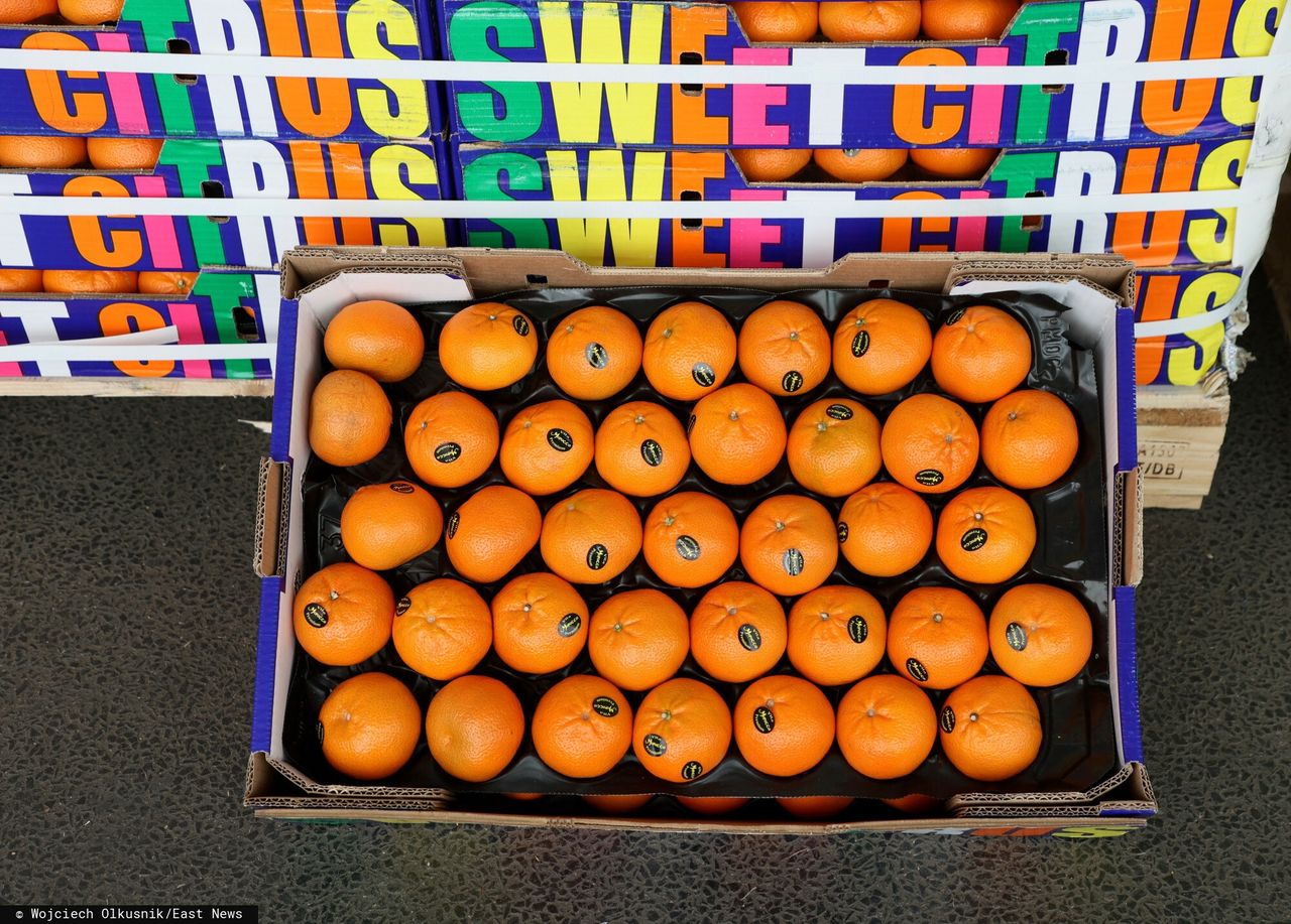 Ceny owoców na początku roku. Oto ile kosztują w hurcie