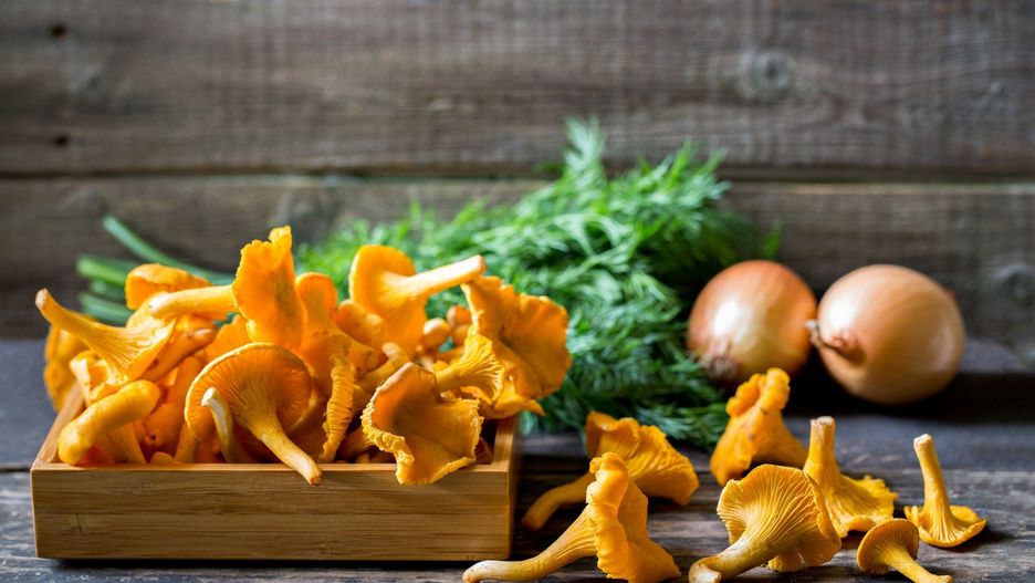 Zupa kurkowa i jajecznica z kurkami