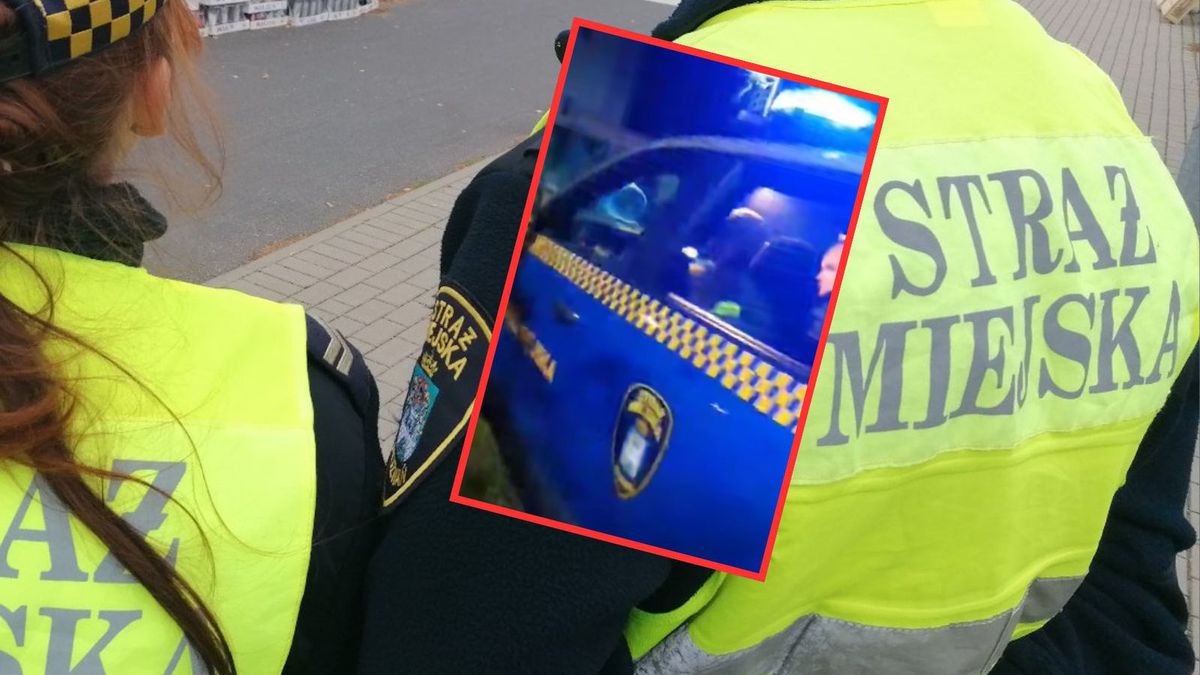 Poznań: Para seniorów dostała mandat, gdy kupowała choinkę