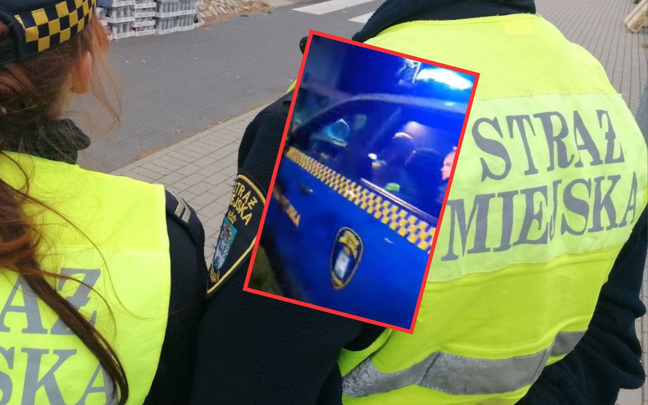 Kupowali choinkę, dostali mandat. Wszystko nagrał. "Żenada"