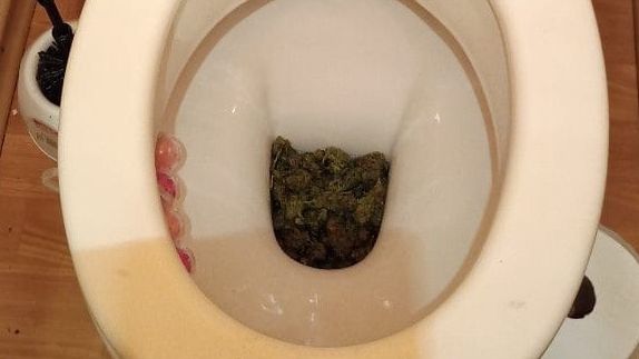 Marihuana w toalecie