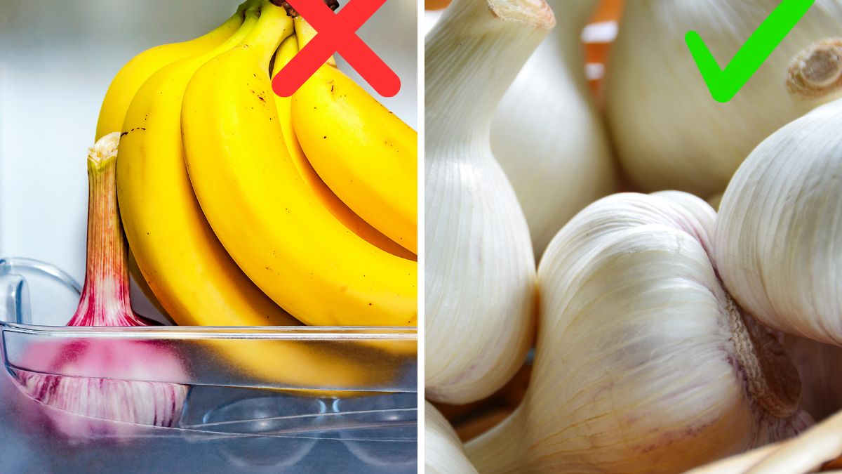 Jak należy przechowywać czosnek?