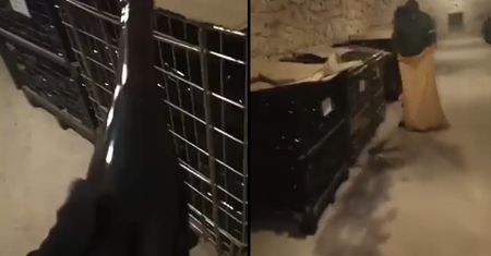 Rosjanie okradli wyjątkowe miejsce. Sami się tym pochwalili