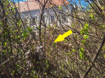 Pod żadnym pozorem nie dotykaj. Grozi za to kara grzywny