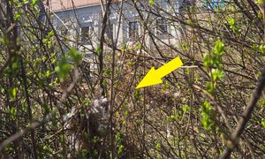 Pod żadnym pozorem nie dotykaj. Grozi za to kara grzywny