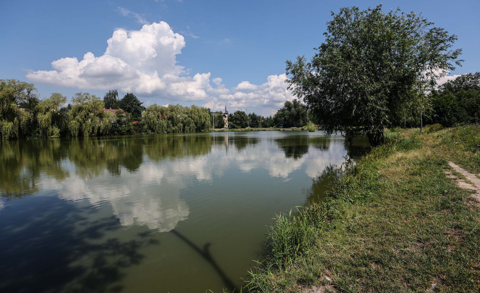 Staw Browarny ma ok. 1 ha powierzchni. Położony jest między ulicami Kraszewskiego i Cetnarskiego.