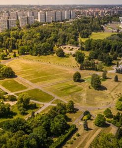 Chorzów. Ciężki sprzęt budowlany w parku, lepiej zaplanować trasę spaceru