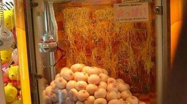 Maszyna pełna piersi... zagrasz? 1