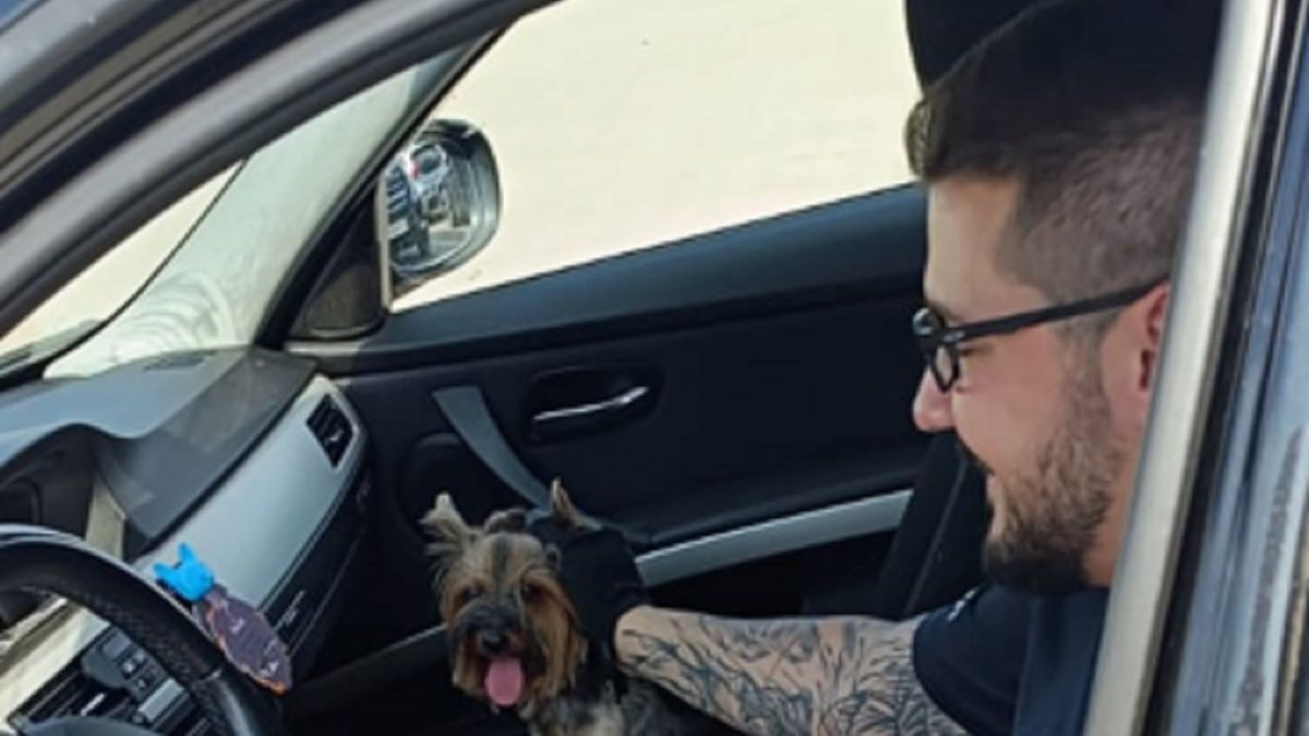 Policjanci uratowali psa z wnętrza rozgrzanego BMW.