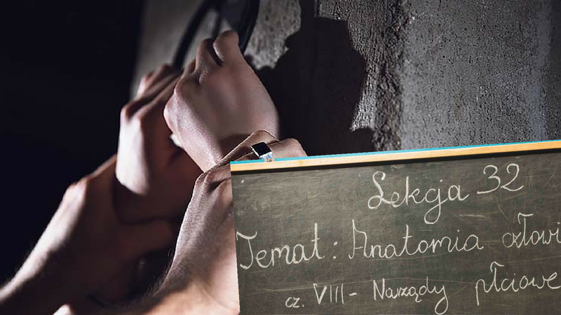 Pierwszy w Polsce seks apartament. Masz nietypowe erotyczne fantazje? To może być dla ciebie