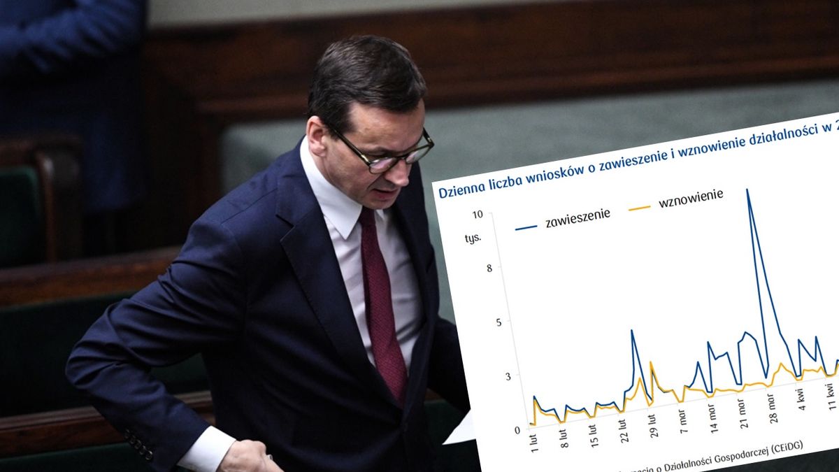 Więcej polskich firm w ostatnich tygodniach się otwiera niż zamyka. Ale powód może być bardzo zaskakujący