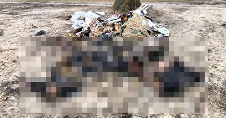 Zacierali za sobą ślady, ciała podpalono. "Rodzina z dziećmi, 5-6 osób"