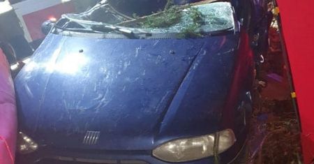 Tragiczny pech kierowcy. Drzewo spadło wprost na jego samochód