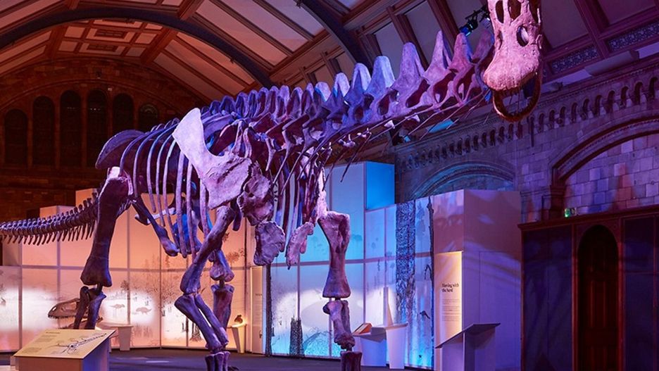 Szkielet Patagotitana