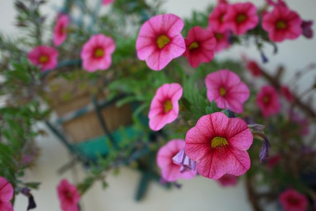 Panasonic Lumix GF3 – zgrabny, inteligentny maluch [test] 24