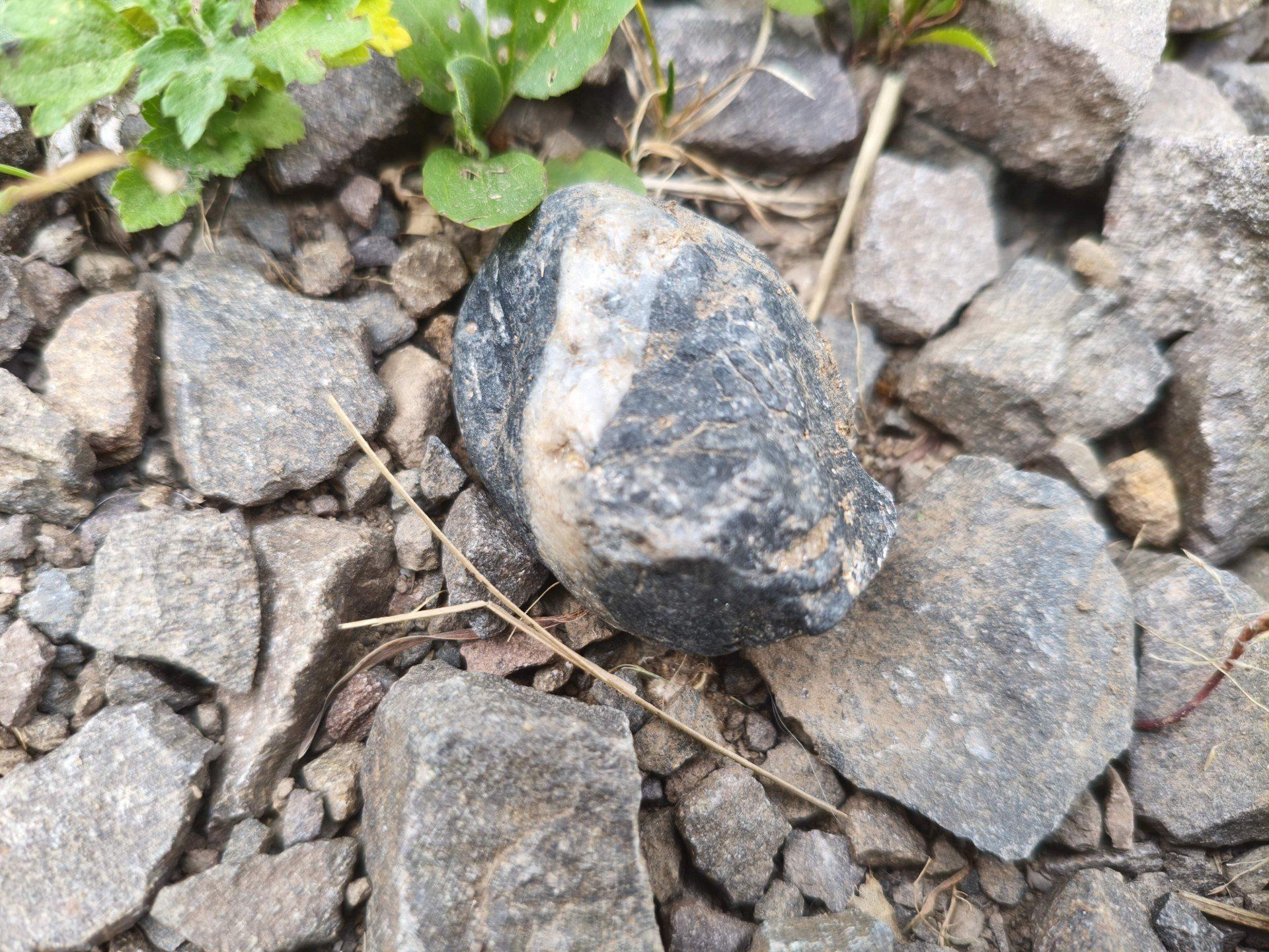 Przykład naturalnego występowania lidytu. Dolny Śląsk ma swój krzemień pasiasty?