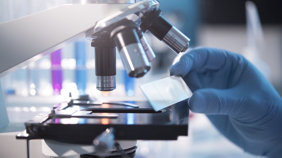 Zdjęcie ilustracyjne