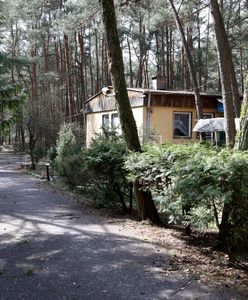 Ważni politycy PiS i PO mogli być podsłuchiwani przez Rosjan?