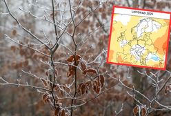 Taka pogoda zapowiada się w listopadzie. Są prognozy