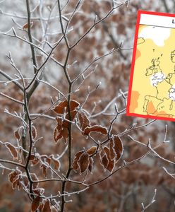 Taka pogoda zapowiada się w listopadzie. Są prognozy